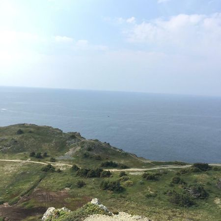 Mermaid Inn Bnb Twillingate Kültér fotó
